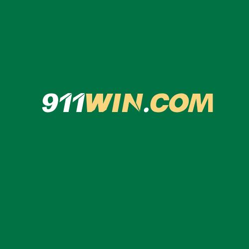 Logo da 911WIN